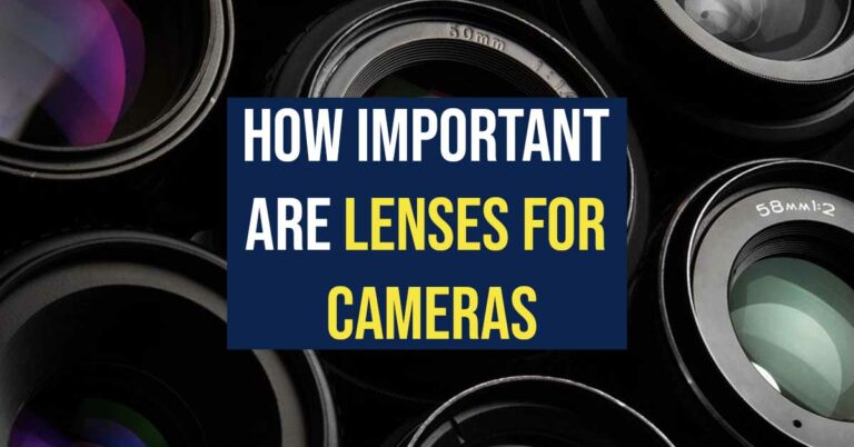 An Image showing How Important are Lenses for Cameras